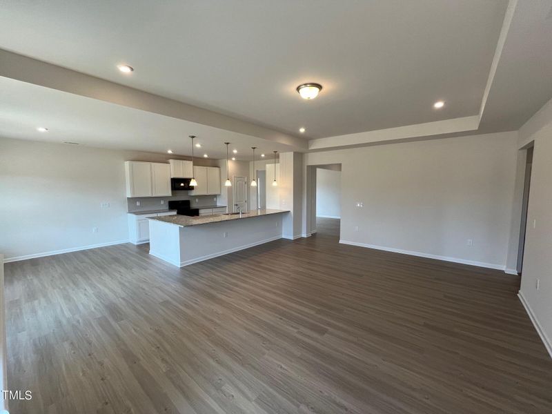 Family Room/Kitchen