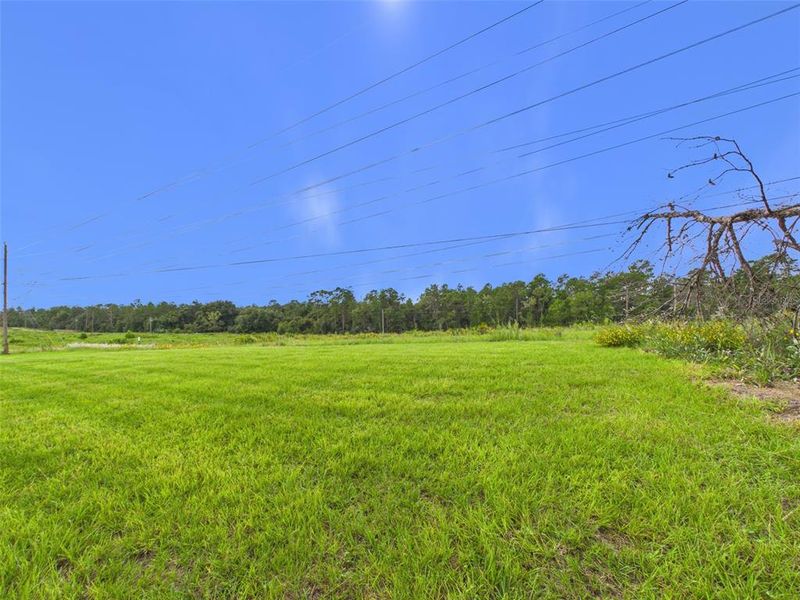 Natural landscape and outdoor views near  in Ocala (Image 21).