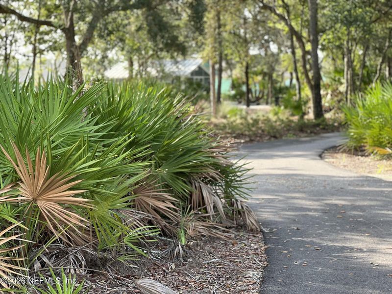 Natural landscape and outdoor views near  in St. Johns (Image 27).