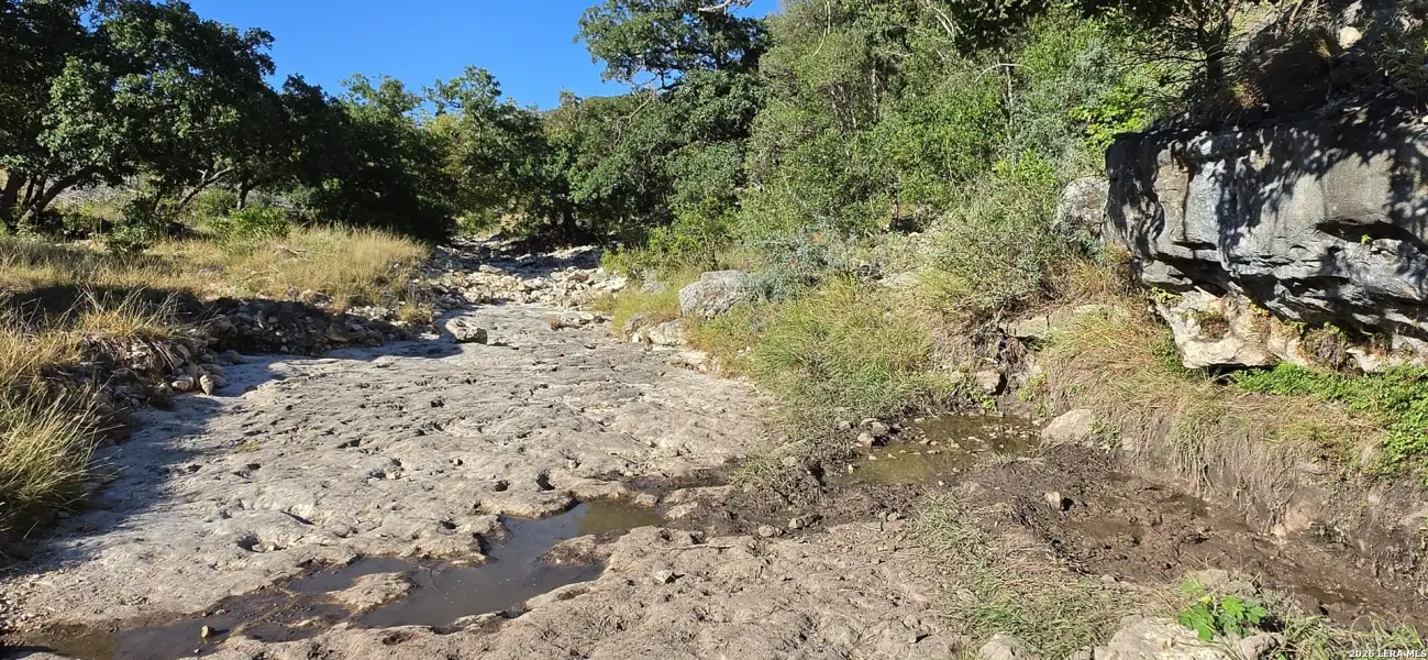 Natural landscape and outdoor views near  in Leakey (Image 55).
