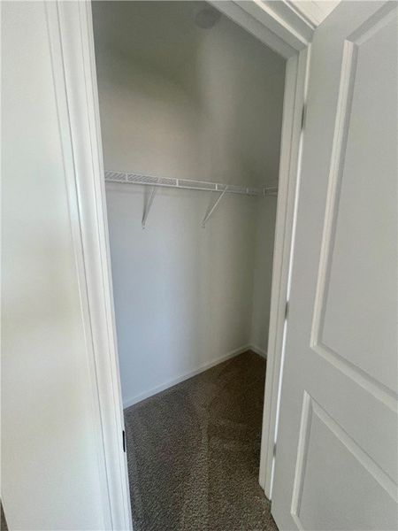 Spacious, unfurnished interior of a new home in Springwood Grove, Central (Image 26).