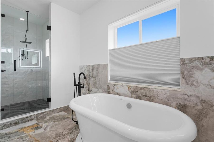 Furnished interior view inside a new home in , Dunedin (Image 7).