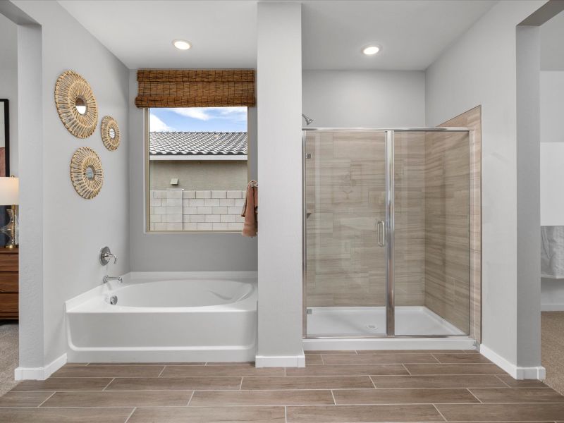 Furnished interior view inside a new home in Paloma Creek - Signature Series, Surprise (Image 14).