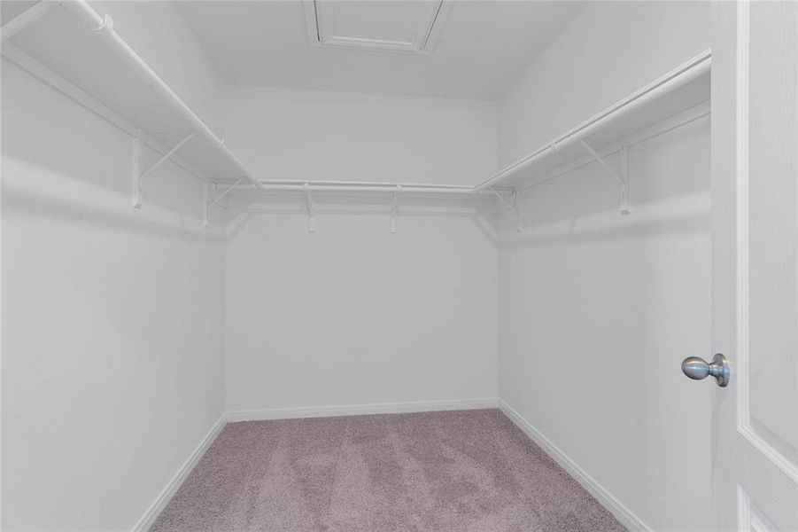 Look at this immaculate closet! With high shelving, multiple rows to hang clothing, you are sure to have enough room for all your belongings!