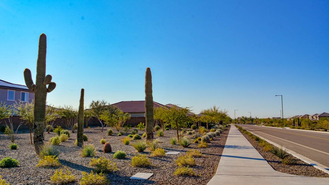 Community amenities associated with the Amherst by D.R. Horton in Aloravita, Peoria (Image 14).