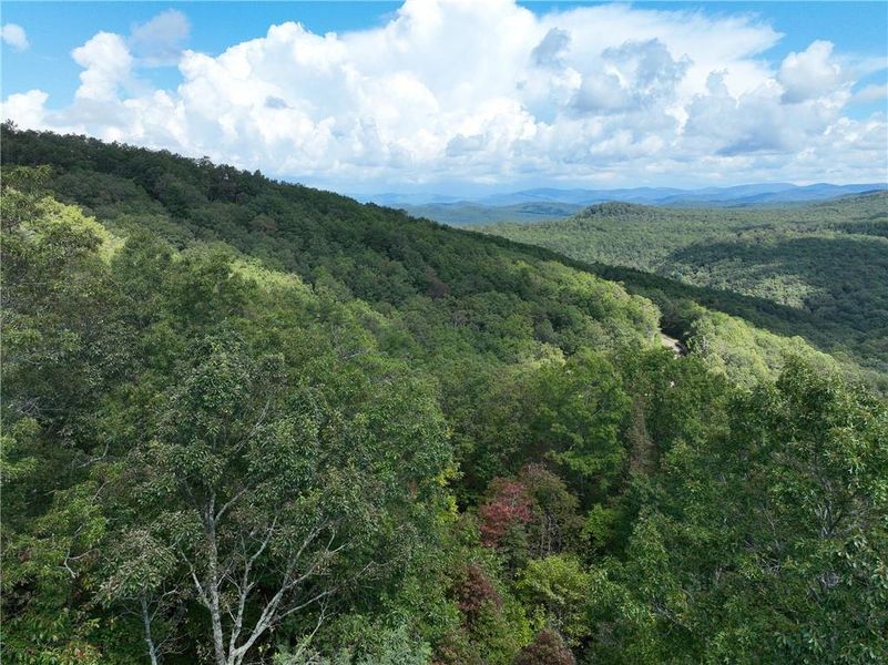 Natural landscape and outdoor views near  in Jasper (Image 27).