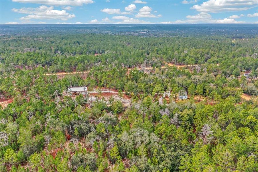 Natural landscape and outdoor views near  in Interlachen (Image 53).