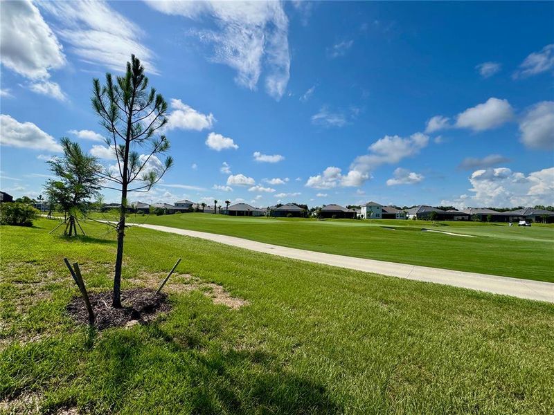 Natural landscape and outdoor views near  in Lakewood Ranch (Image 25).