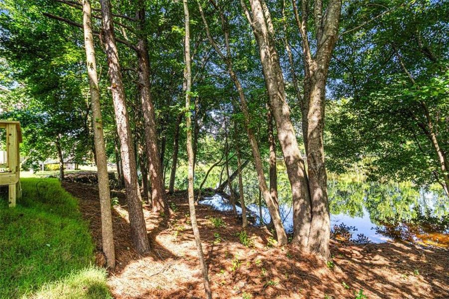 Natural landscape and outdoor views near  in Carrollton (Image 34).