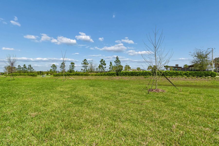 Exterior Exterior