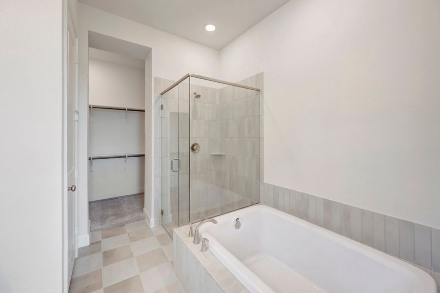 Owner's Bath