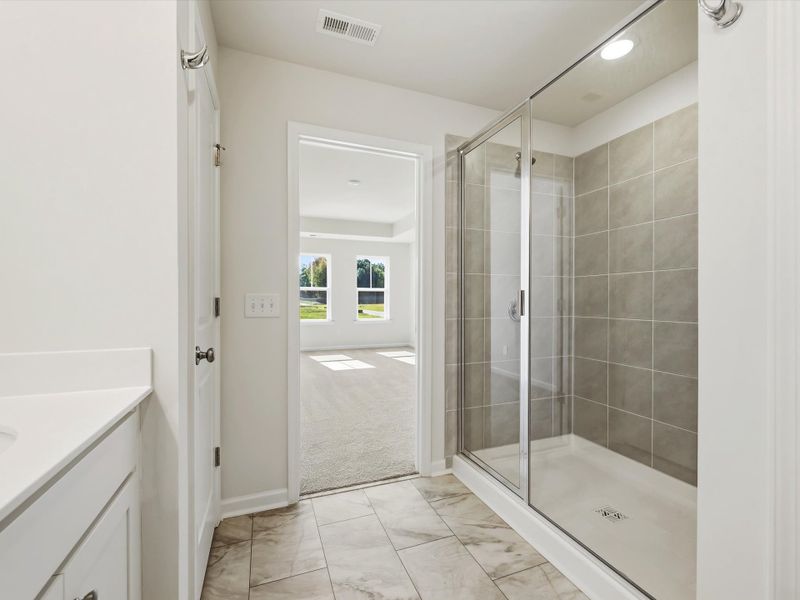 Owner's Bath