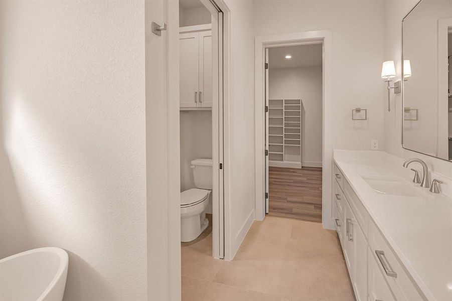 Primary Bathroom sink 2