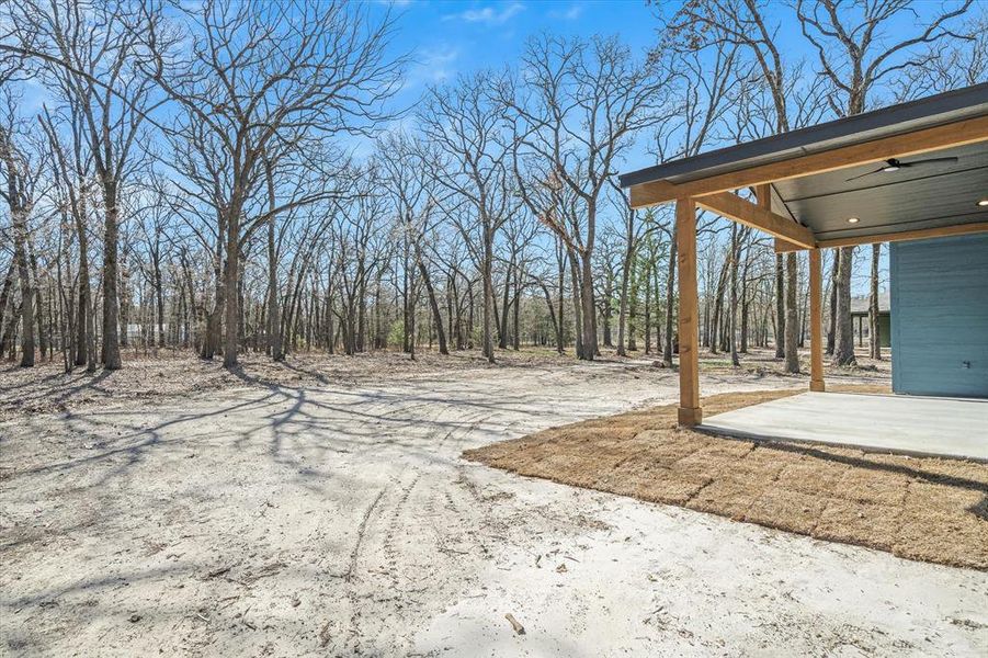 Trees! Trees! Trees!