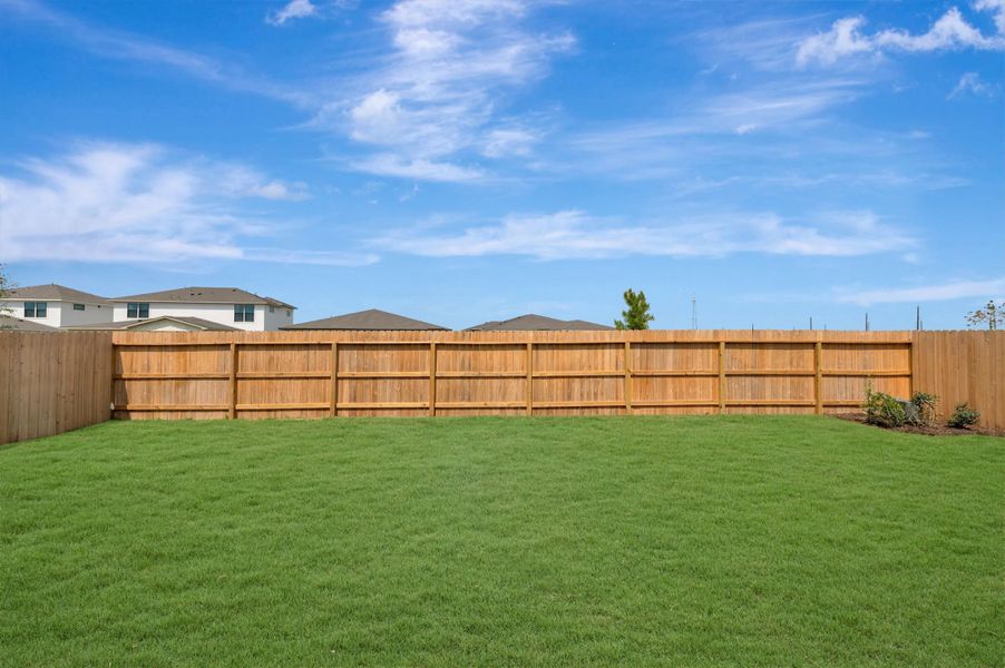 Backyard Backyard