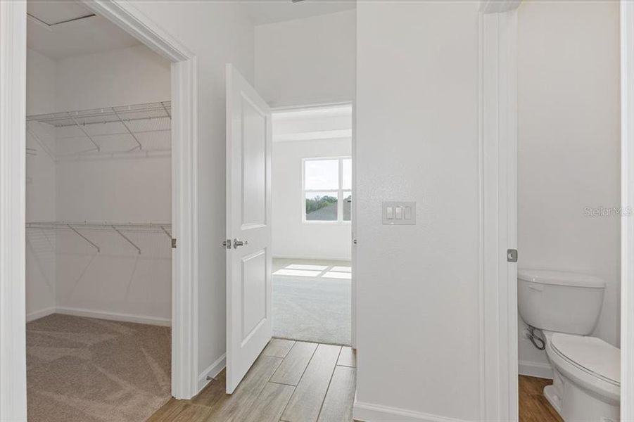 Spacious, unfurnished interior of a new home in Summerbrooke, Mount Dora (Image 10).