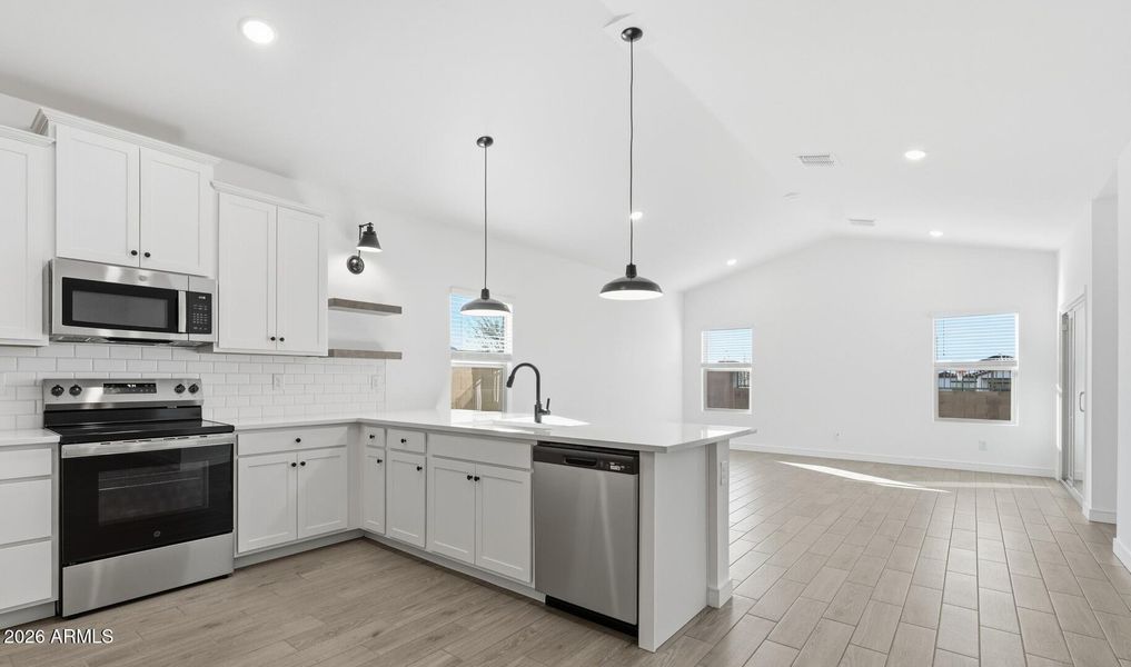 MR Lot #99 Kitchen (6) (Large)