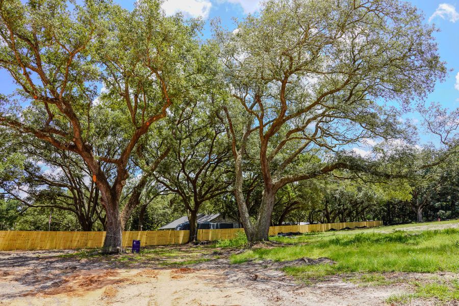 Doyle Hawkins Landing-2