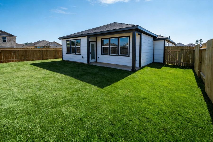 Center and left side of back yard