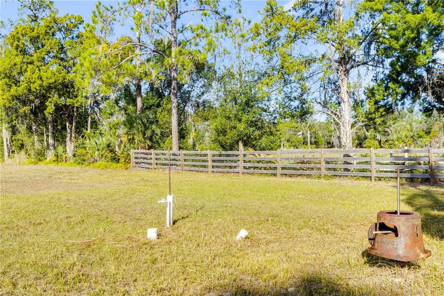 Natural landscape and outdoor views near  in Pierson (Image 18).