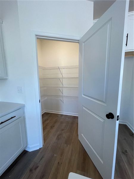 This spacious walk-in pantry provides exceptional