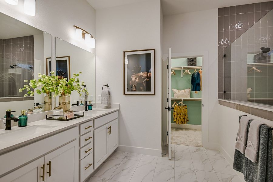 Owner's Bath