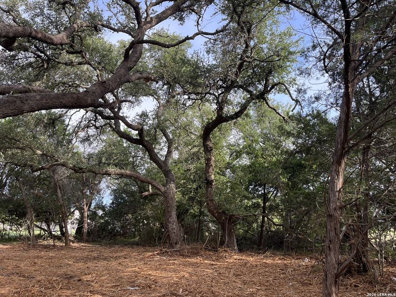 Natural landscape and outdoor views near in Canyon Lake (Image 3). Natural landscape and outdoor views near in Canyon Lake (Image 3).