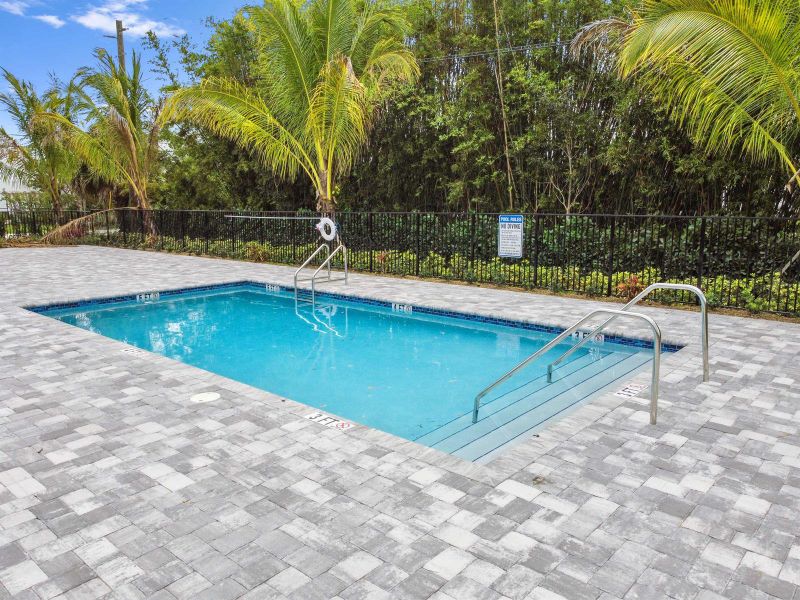 03 pool 02 03 pool 02