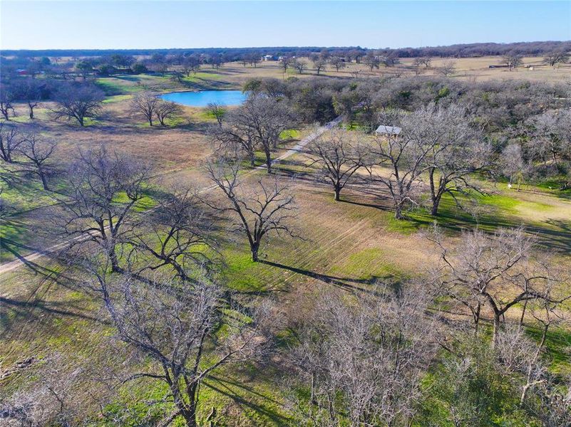 Natural landscape and outdoor views near  in Millsap (Image 18).