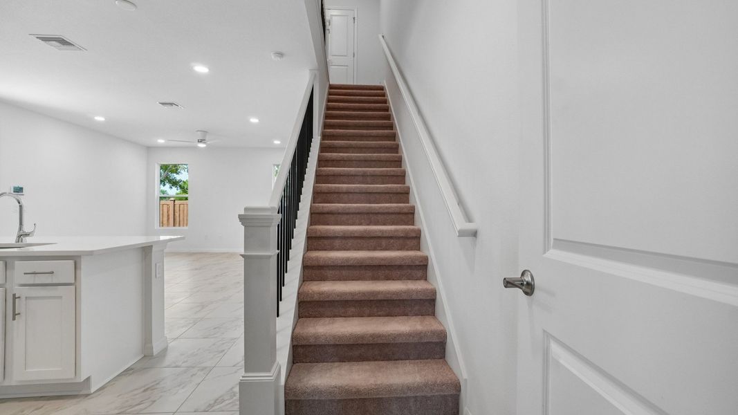 The Staircase