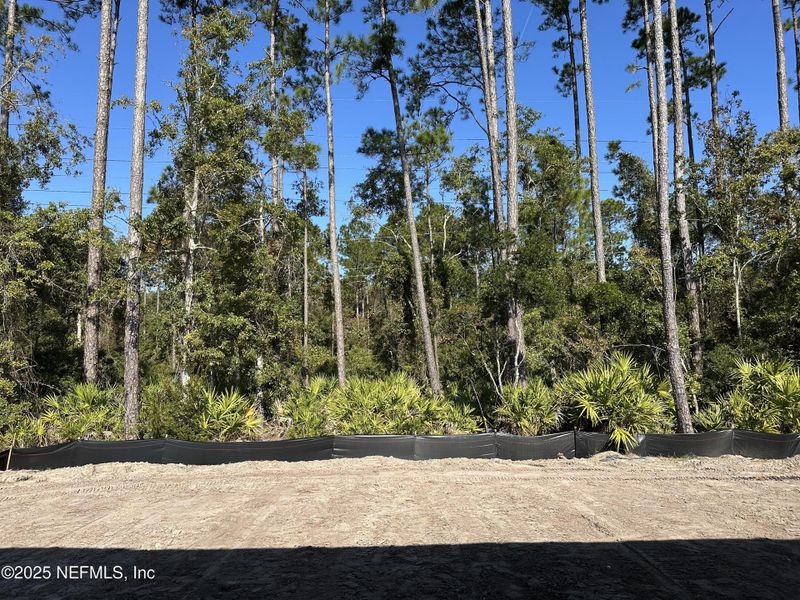 Natural landscape and outdoor views near Amelia National Country Club in Fernandina Beach (Image 44).