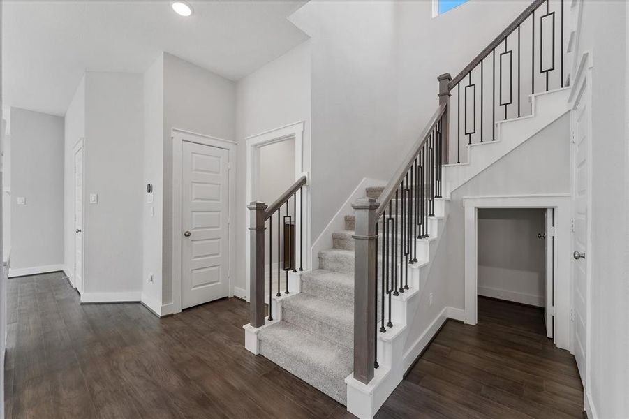 Large storage closet under stairs