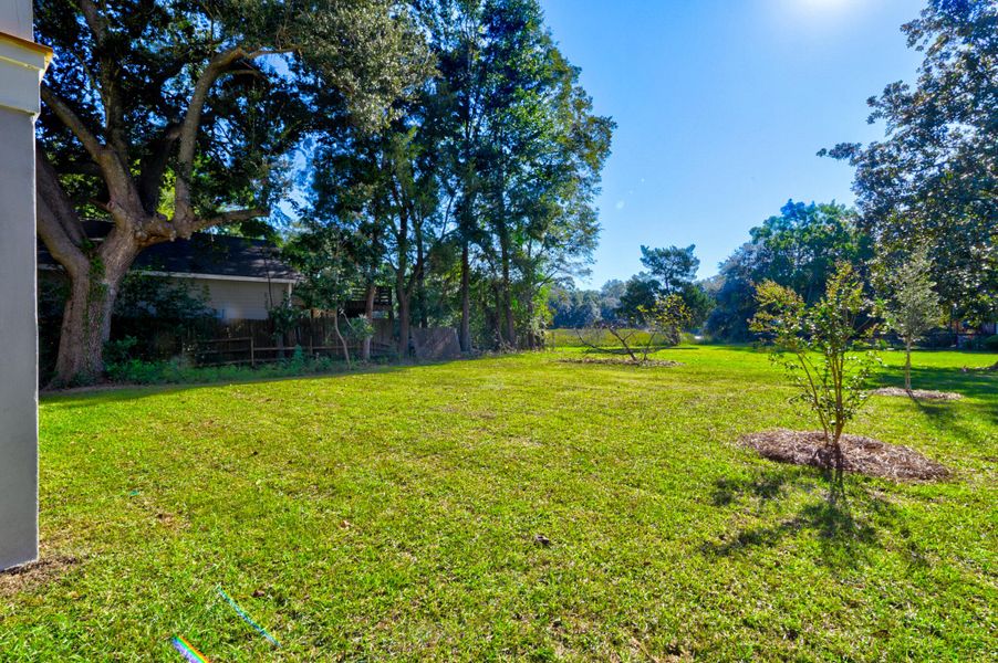 Natural landscape and outdoor views near  in Charleston (Image 48).