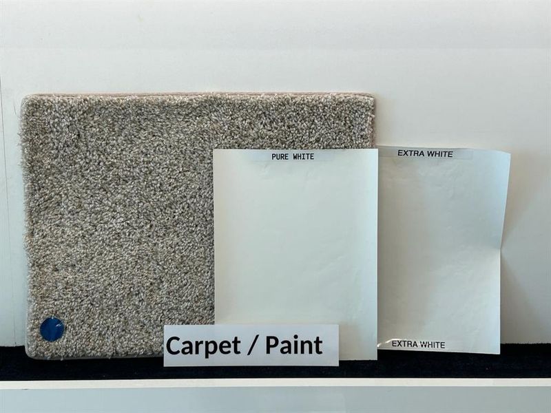 PAINT AND CARPET