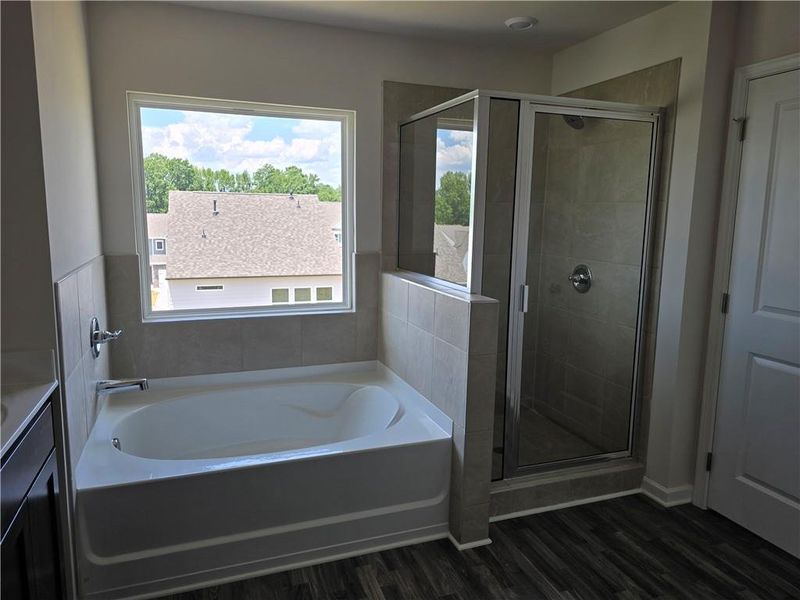 Furnished interior view inside a new home in Enclave at Dawson Forest, Dawsonville (Image 4).
