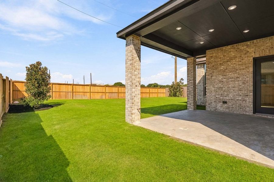 Backyard