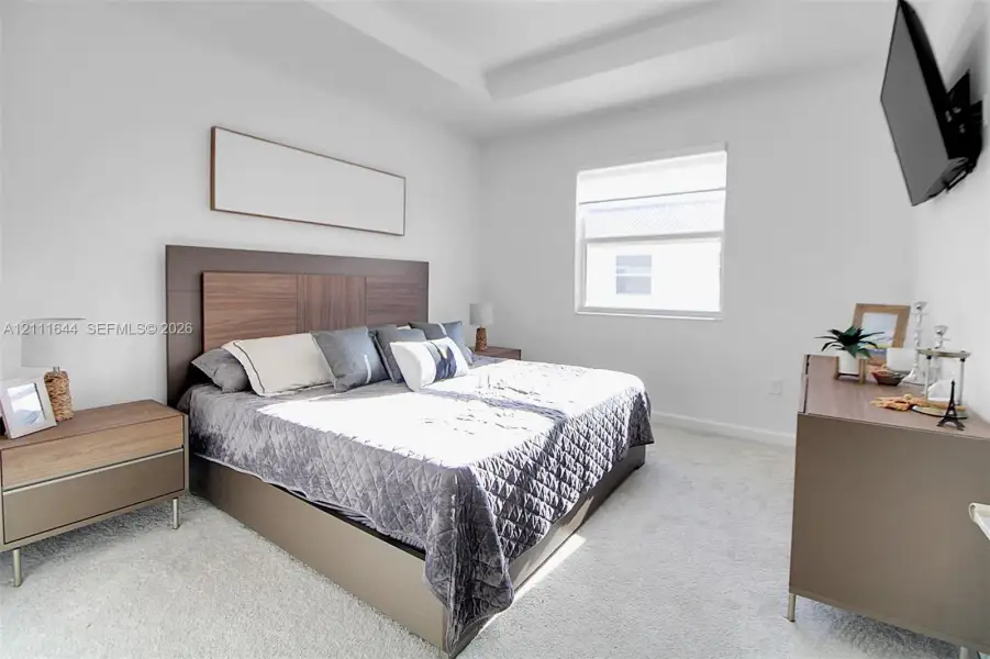 Bedroom featuring neutral wall-to-wall carpeting, tray ceiling, and a single window with roller shade Bedroom featuring neutral wall-to-wall carpeting, tray ceiling, and a single window with roller shade