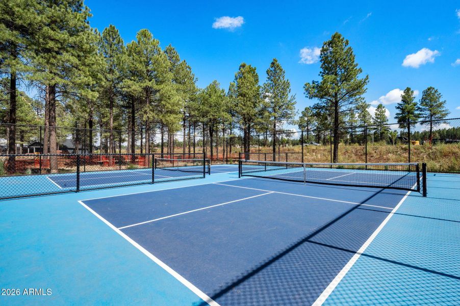 7-Pickleball Courts (2)