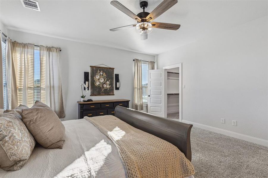 Carpeted bedroom with a closet, ceiling fan, and a walk in closet