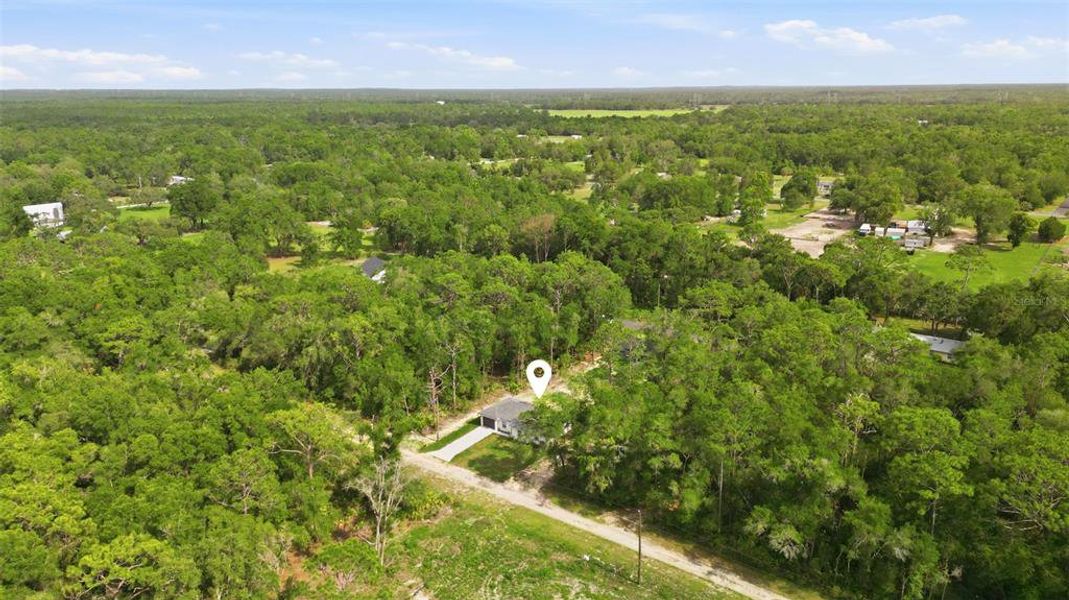 Natural landscape and outdoor views near  in Crystal River (Image 26).