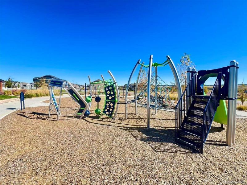 Community amenities in Looking Glass, Parker (Image 28).