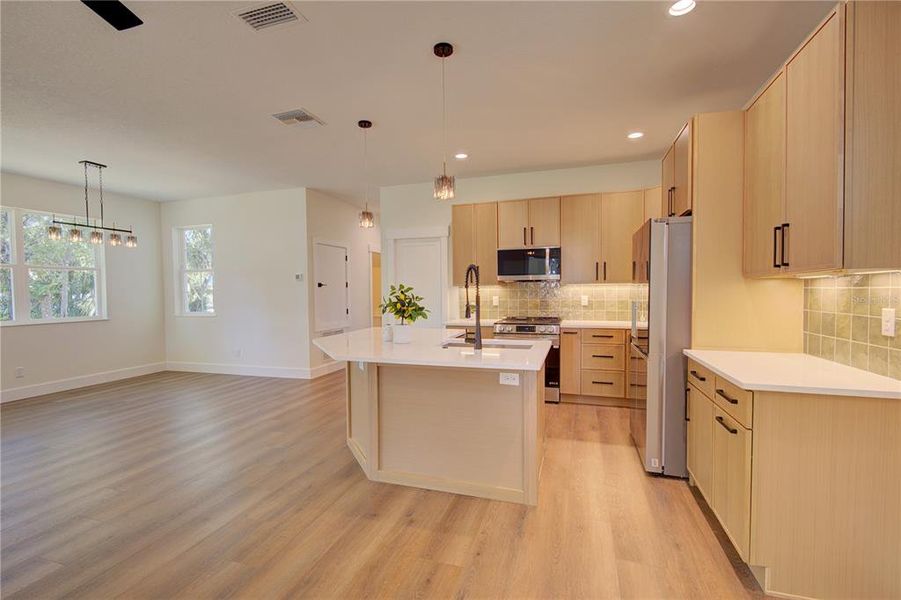 Furnished interior view inside a new home in , Mount Dora (Image 10).