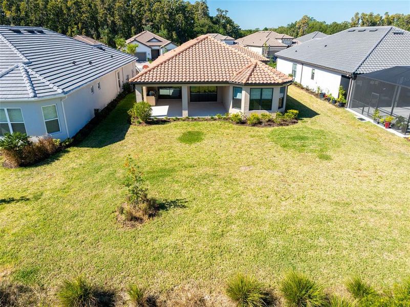 Exterior details and patio area of a home in Esplanade at Wiregrass Ranch, Wesley Chapel (Image 29).