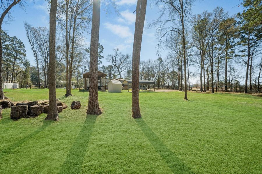 Natural landscape and outdoor views near  in Coldspring (Image 45).