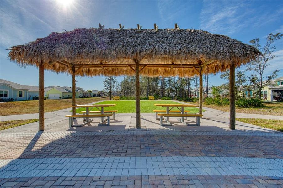 Community amenities in , Daytona Beach (Image 37). Community amenities in , Daytona Beach (Image 37).