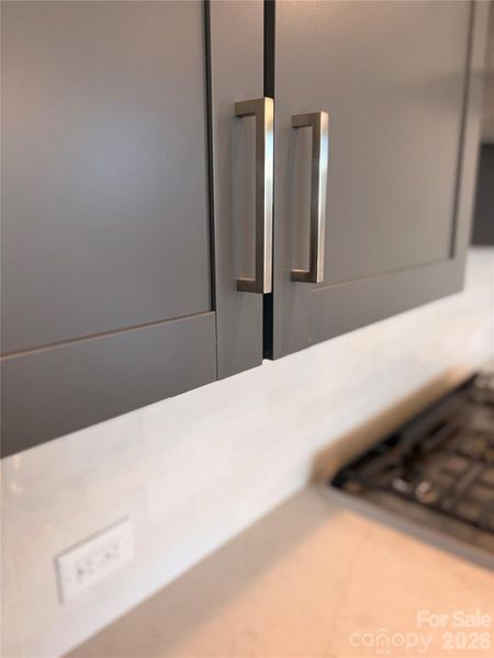 Close-up of interior finishes inside a home in Encore at Harmony, Harrisburg (Image 14).