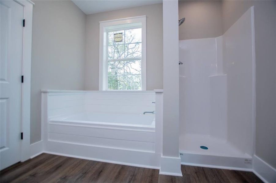 Spacious, unfurnished interior of a new home in , Bowdon (Image 51). Spacious, unfurnished interior of a new home in , Bowdon (Image 51).