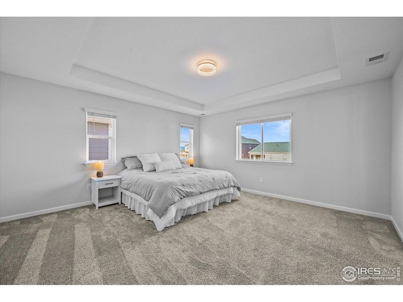 Furnished interior view inside a new home in Prairie Song, Windsor (Image 34).