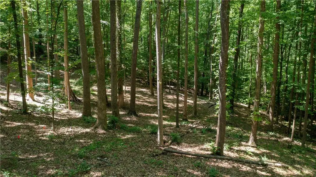 Natural landscape and outdoor views near in Alpharetta (Image 3). Natural landscape and outdoor views near in Alpharetta (Image 3).