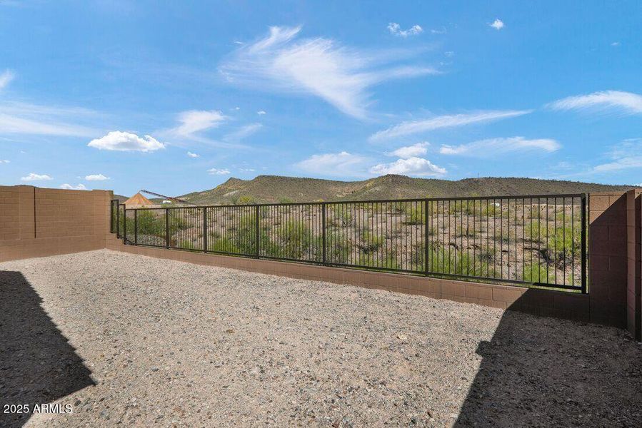 hj-az-phoenix-mystic-discovery-lily-lot-